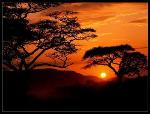 african-sunset-1-content