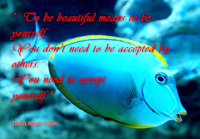 to_be_beautiful_meands_to_be_yourself-001-large