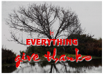 in-everything-give-thanks-001-large