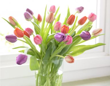 tulipvase-content