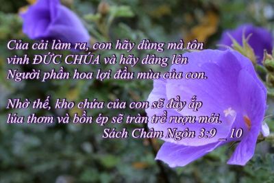 sach_cham_ngon_3_09_10-large-content